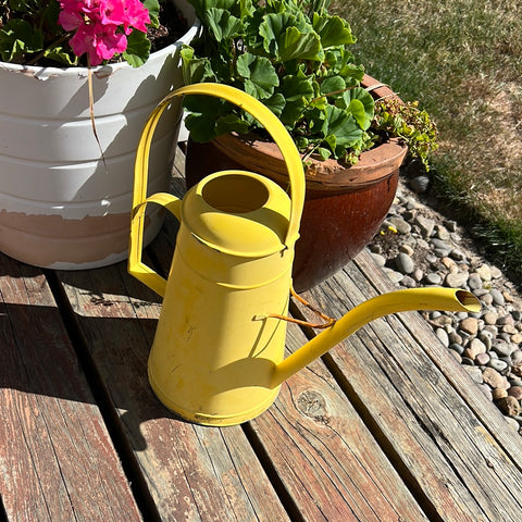 Yellow watering can